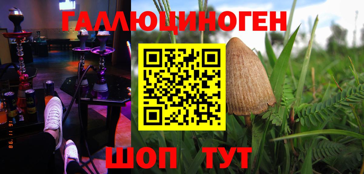 Галлюциногенные грибы Magic Shrooms  купить закладку  Морозовск  Галлюциногенные грибы мухоморы  Вход с VPN 